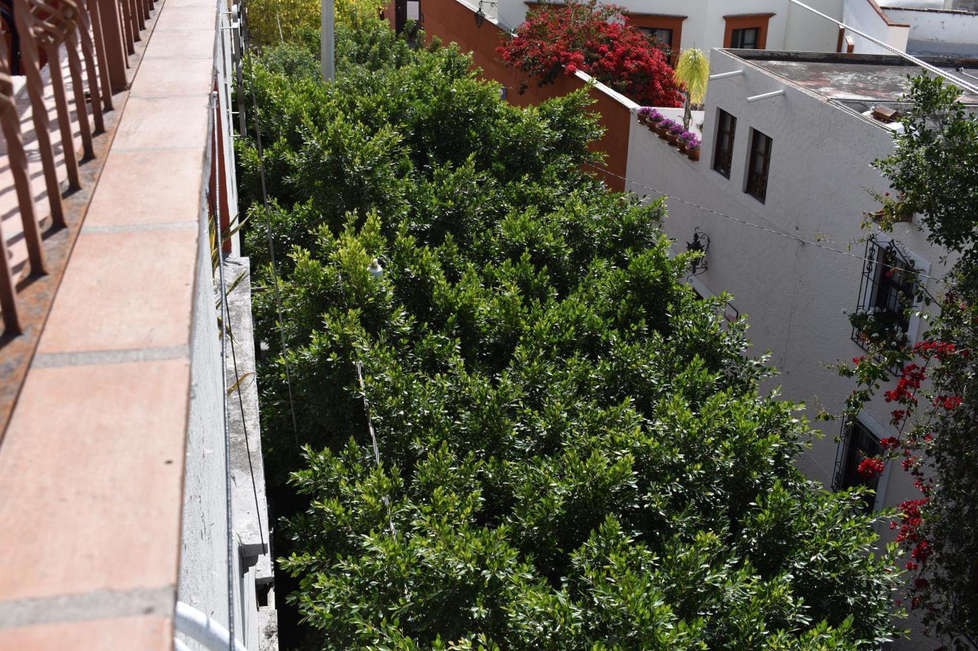 Casa Maria Elena Bed & Breakfast ซานมิเกล เด อาเญนเด ภายนอก รูปภาพ