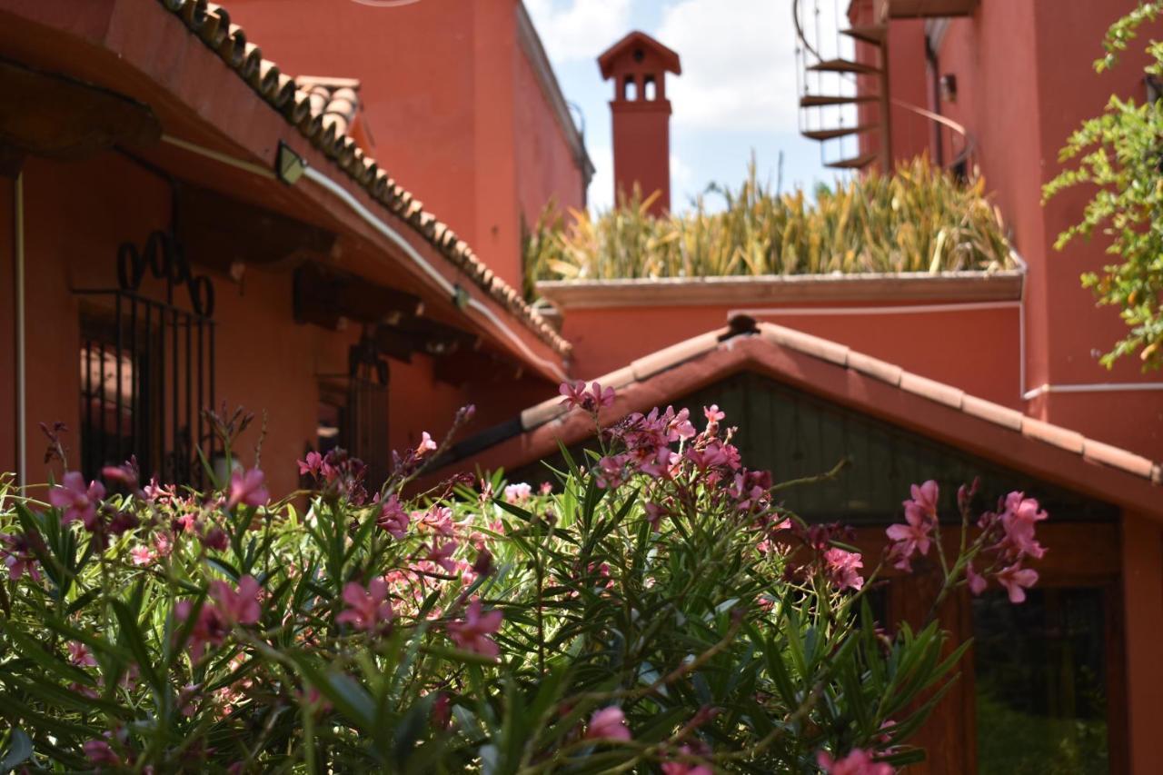 Casa Maria Elena Bed & Breakfast ซานมิเกล เด อาเญนเด ภายนอก รูปภาพ