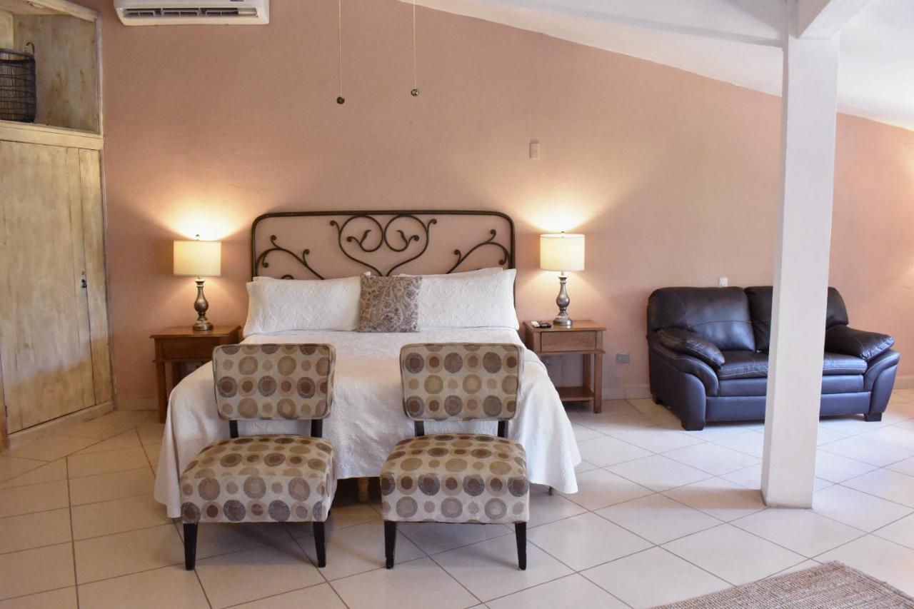 Casa Maria Elena Bed & Breakfast ซานมิเกล เด อาเญนเด ภายนอก รูปภาพ