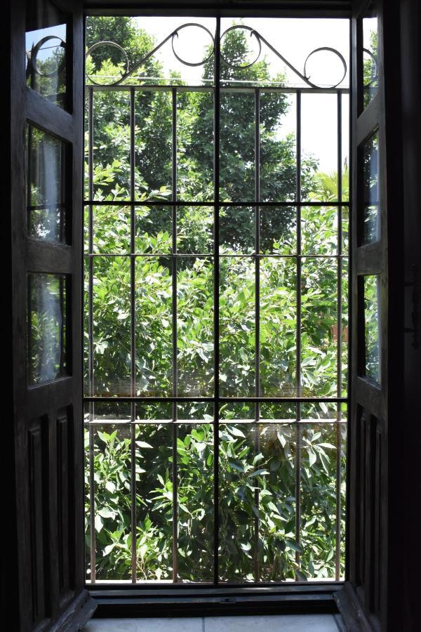 Casa Maria Elena Bed & Breakfast ซานมิเกล เด อาเญนเด ภายนอก รูปภาพ